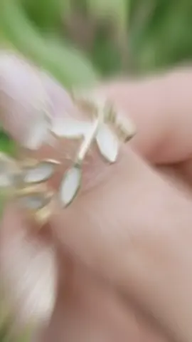 #แหวน #แหวนใบไม้ #แหวนปรับได้ตามขนาดนิ้ว #แหวนฟรีไซส์ #เครื่องประดับ 