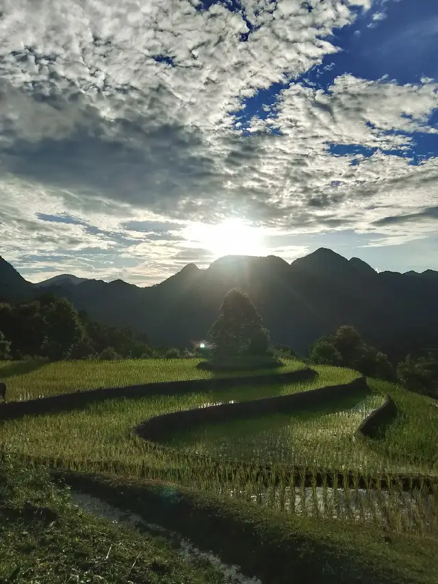 wb tsi yog niam txiv 