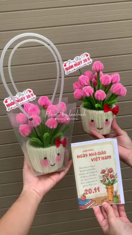 Hông nói gì nữa,set chậu hoa túi thiệp tri ân 20/11 quá xinh nè.#flowersbyhandmade 