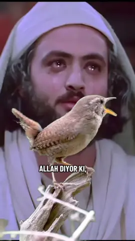 Elhamdülillah...#☝️☝️🕋🕋🤲🤲 #keşfetbeni #keşfettiktokk 