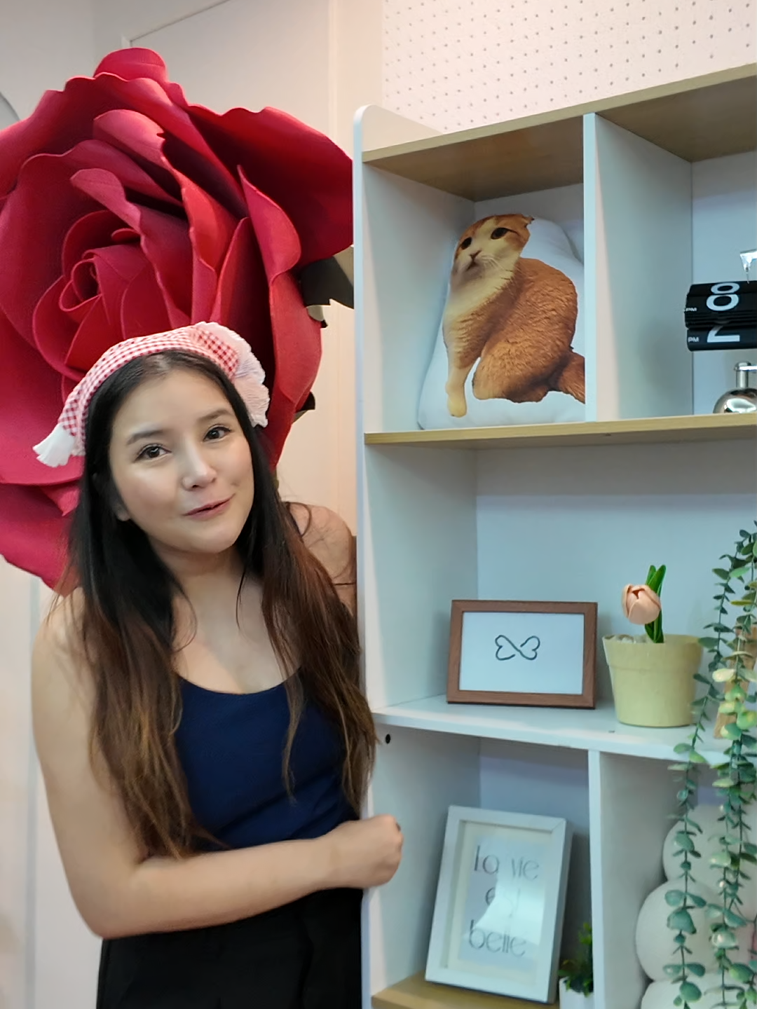 ชั้นเก็บของ ติดตั้งง่าย ตู้โชว#ชั้นเก็บของ ติดตั้งง่าย ตู้โชว#อลิสคลังเฟอร์นิเจอร์จากโรงงาน #ช้อปกันวันเงินออก #ช้อปกันวันเงินเดือนออก #ช้อปมันส์วันเงินเดือนออก #tiktokshopช้อปกันวันเงินเดือนออก