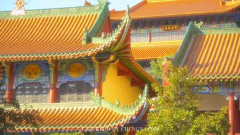 Không phải ai rời đi cũng đáng tiếc, và không phải điều gì mất đi cũng cần níu lại. Vạn vật đều có nhân duyên của nó, học cách mỉm cười mà tiễn biệt. #cophong #nhactrungquoc  #binhyen #nhenhang #nhutam 