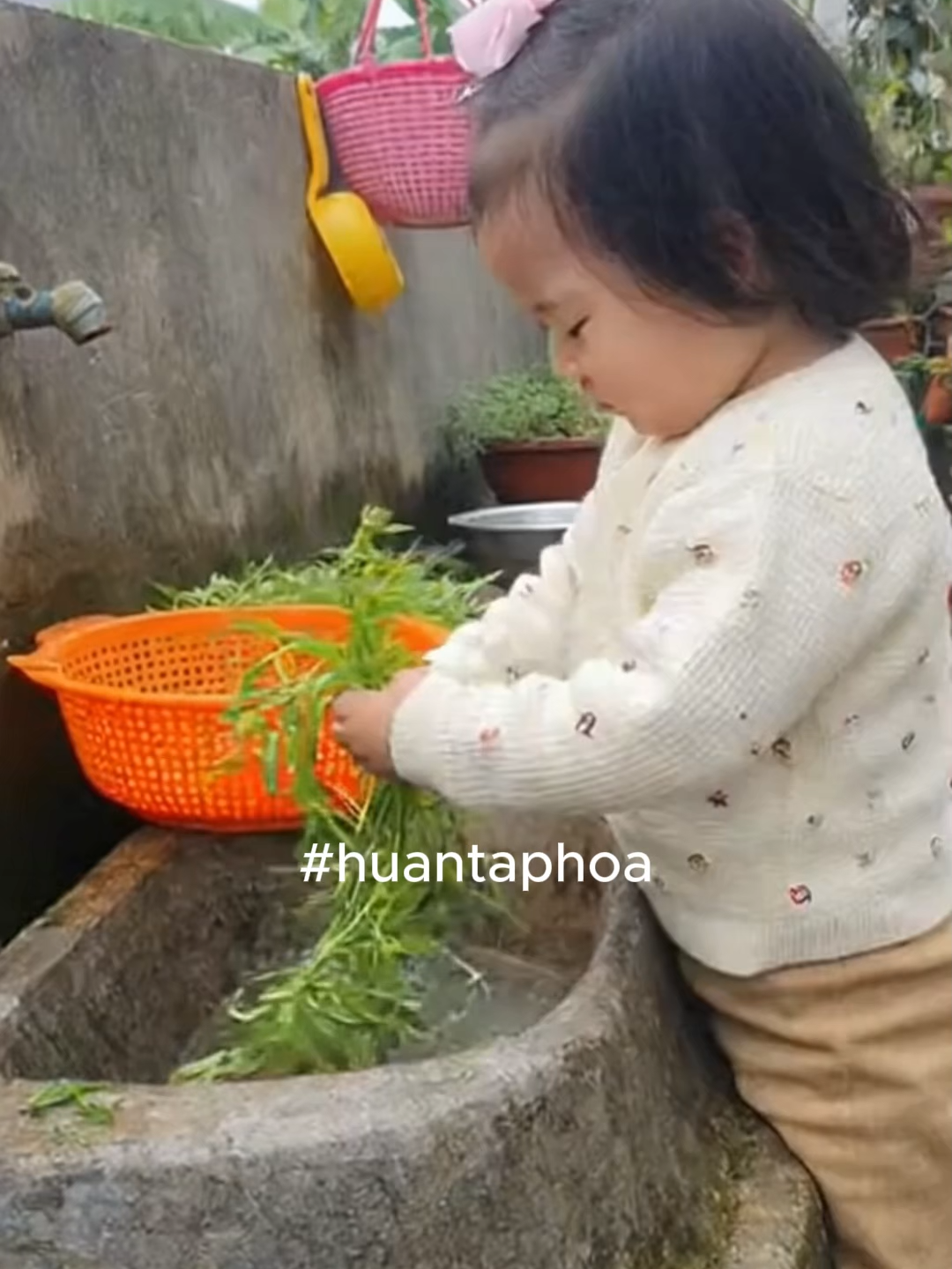 Lương tâm #huantaphoa