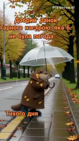 Тихого дня Гарного настрою, яка б не була погода... 