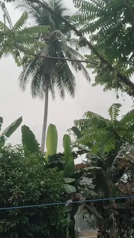 #fyppp #miosmile #platktiniboss #masukberandafyp#banyak 