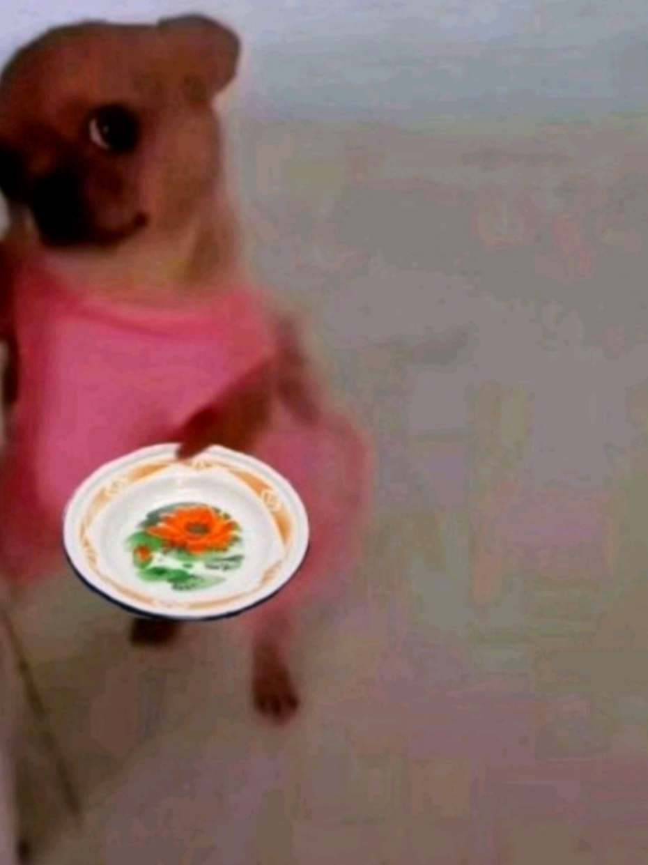 #ရောက်စမ်းfypပေါ်😊 #အားပေးကြပါအုံးဗျာ😍😍😍😍 #ရောက်စမ်းfyp #ခင်များတို့ရဲ့ချစ်မဝလေးဖစ်ချင်လို့😘😗 #ရောက်ချင်တဲ့နေရာရောက်👌 