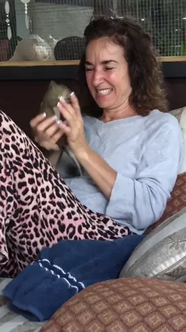 Baby Figgy! He was a little stinker, he was the only squirrel that ever bit Stephen or myself! 🐿💜#onthisday #floridalife #squirrelsoftiktok #wildlife #creatorsearchinsights 