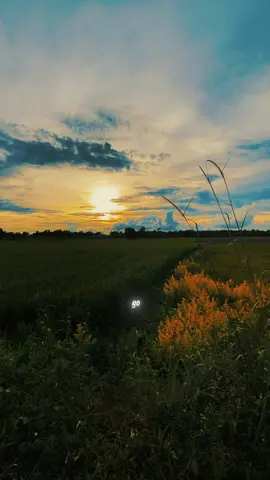 #CapCut chill with me . #capcutradio #trend #capcutpioneer #pioneertemplate 