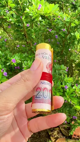 Mẹo nuôi tiền cái để tiền sinh tiền #nuoitiencai #meonuoitiencai #nguyenphuonghang #phongthuytamlinh #cautailoc 