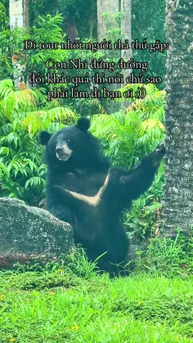 Tour nhốt người thả thú, gặp đứa bạn thân 