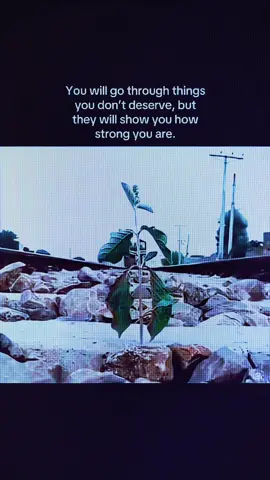 #motivation #respect #Love #dontgiveup #2025 