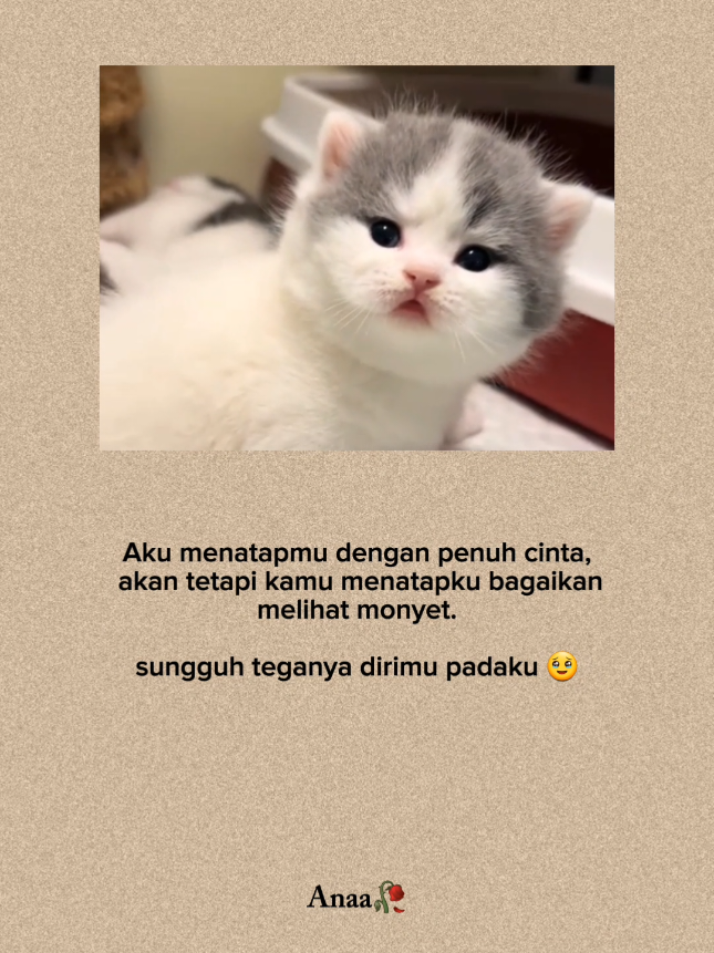 padahal aku bukan monyet loh😭 #quoteslucu #indiasong #kucinglucu #foryoupage #xbcyza 