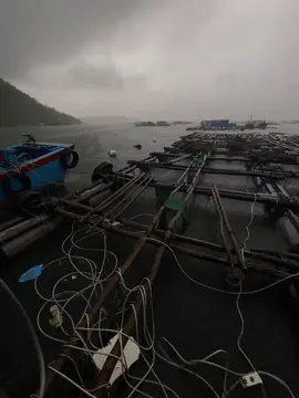 “Làm gì trên đời này có người hoàn toàn tốt đẹp”#duchaysuy1 #podcast #tam_trang_buon #nhachaymoingay #fyp 