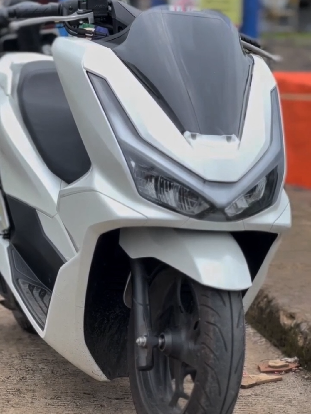 Paus orca 🐋😋🤙#pcx #pcxแต่งสวย #styletahiland🇹🇭 #pcx160 #pcx160ล้อ17แต่งสวย 