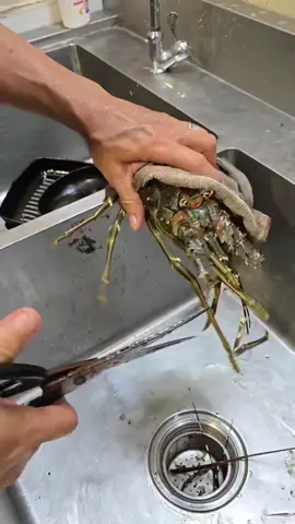 মেনশন করে দাও #ASMA💎MONi 