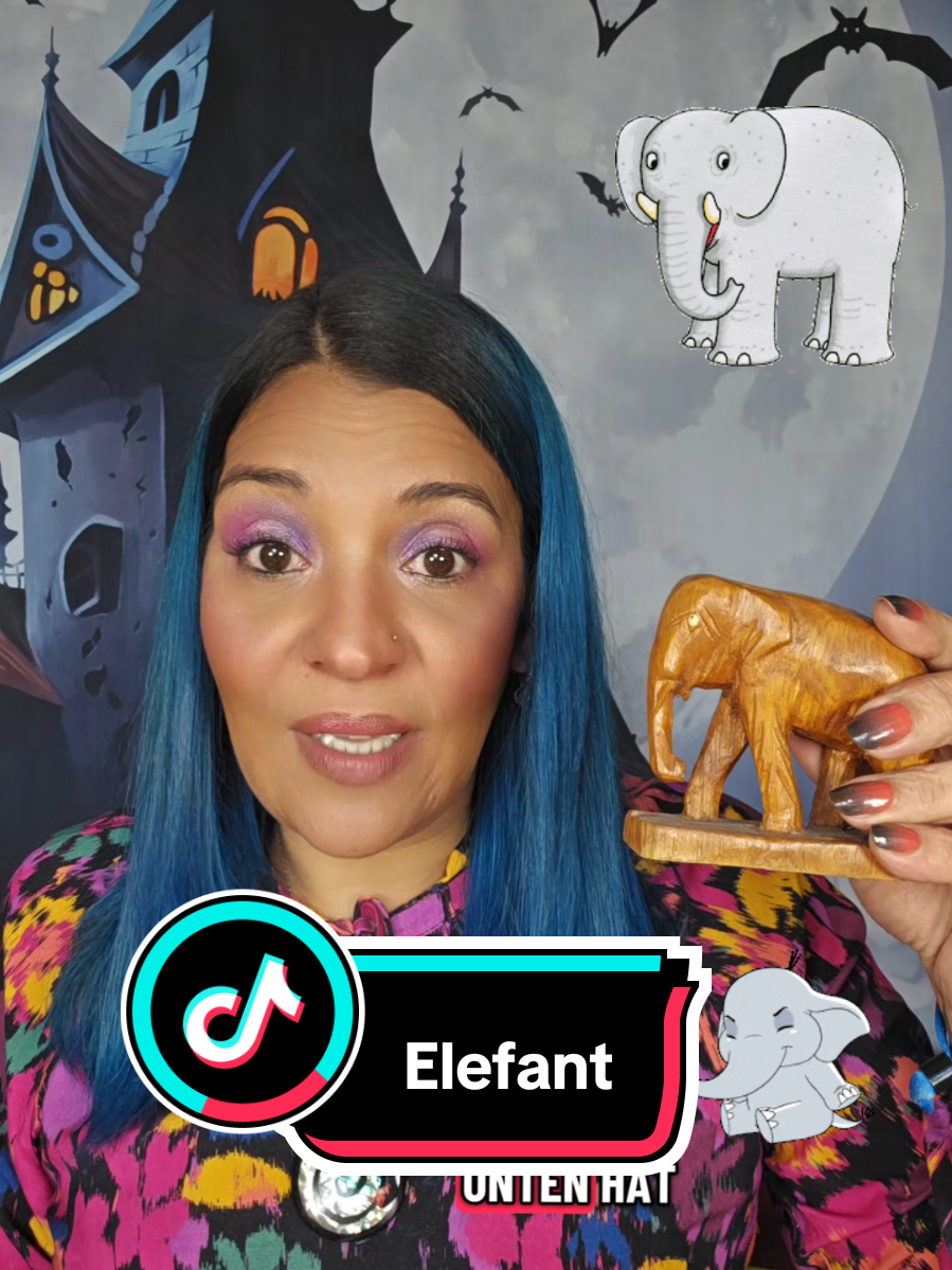 Spirituelle Tipps und spiritueller Content hier auf TikTok. Schau gerne vorbei,  ich freu mich auf Dich🐘 #bewusstsein #medialität  #kartenlegenlive #neueliebe #neuerpartner 