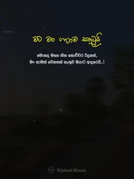 මට මං ගැනම සතුටුයි මොකද මගෙ හිත කොච්චර රිදුනත් මං තාමත් වෙනසක් නැතුව ඔයාට ආදරෙයි..! #nishad__music #nishad__music1 #nishad__wadan1 