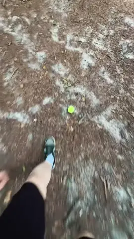 Nhạc nhảy nhót😍#xuhuong #thinhhanh #syndj #vinahouse 