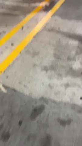 Finally have the Batmobile 