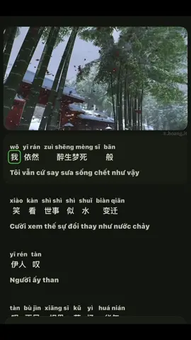 “Giữa vạn kiếp luân hồi, ta vẫn nhận ra người trong sương tuyết mịt mù.” (青丝–等什么君) #等什么君 #viral #xuhuong #nhactrung #HọcTiếngTrungMỗiNgày 
