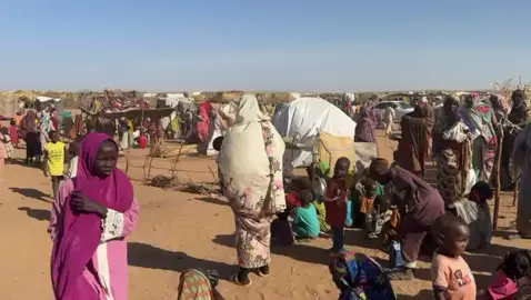 مشاهد تصور معاناة النازحين الذين فروا من #الفاشر إلى منطقة الطويلة. #السودان #ادعموا_المطابخ