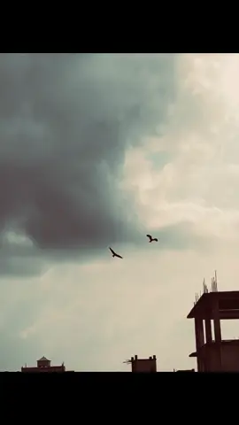 BG 💥🙌 . . . #trending #bg 