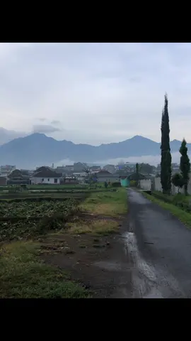 #foryou #liriklagujawa #sewatesgandrung #liriklagu #jawapride 