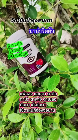 #มาน่าวิตต้า 3 กระปุก 1 กระปุก 20 แคปซูลใช้ตาหนักจ้องจอนานแพ้แสบแสบตาตาต้อ#วิตามินบํารุงสายตา #ผลิตภัณฑ์เสริมอาหาร #อาหารเสริมบํารุงสายตา #วิตามินดูแลดวงตา 