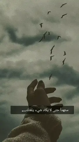 هدوء كثيف لا يشبه السلام بل يشبه التخلي الكامل عن كل محاولة.... #مزاجيات #لايك_اكسبلور_كومنت_فولو_متابعة #اعادة_النشر🔃 #محظورة_مشاهدات #إلى_متى 