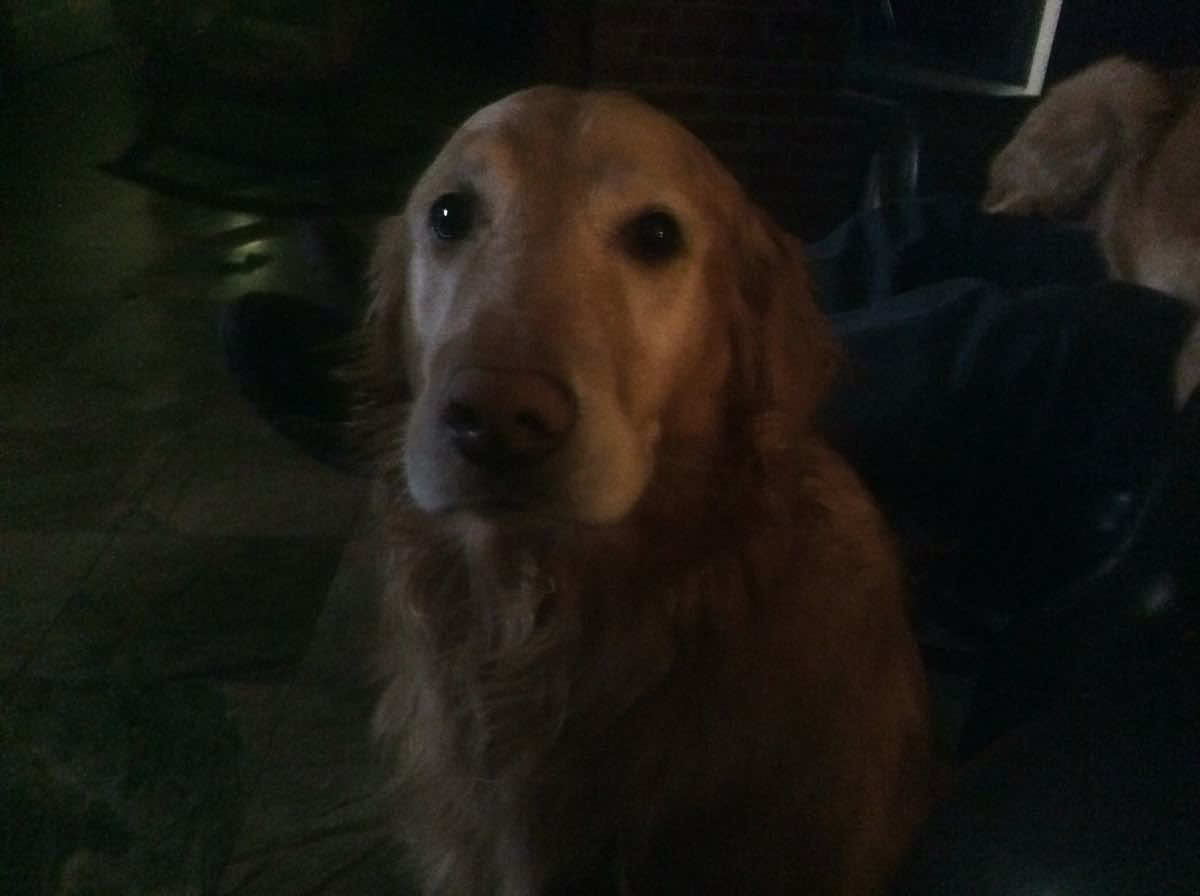 I feel so disgusting #fyp #vent #bodydysphormia #weight #insecure 