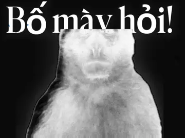 Bố mày hỏi! 2007 bơi hết vào đây#fyp#xuhuong #viral #2010 #BoMayHoi!