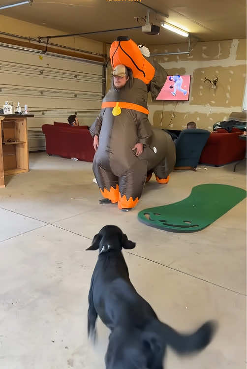 When dog is out on Halloween 👻 #funny #dog #halloween #dramatic #Love 