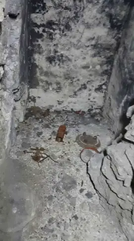 Tumbas Mayas Intactas en Guatemala🏺 #viralvideos #videos #reels #curiosidades #datoscuriosos 