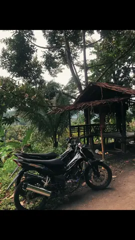 #kwnariszz🤙 #sonicariszz #sonicbaik🤙 #sonicgalau⚡ #sonictasik⚡ 