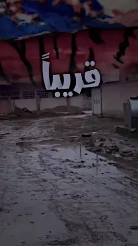 @عشقي الزاجل 