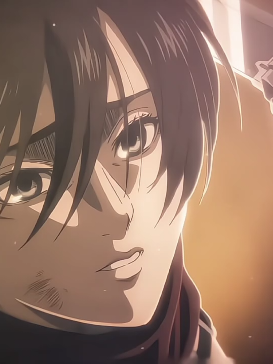 #eremika | #iwaoi — One last time.  — #eren #mikasa #fyp 