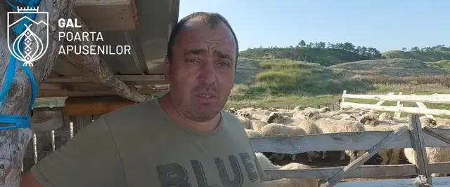 Un oier din Mihai Viteazu și-a transformat pasiunea pentru animale într-o afacere de succes. El și-a dedicat ani buni din viță creșterii oilor, acum culege și roadele muncii sale. Băl Vasile, un gospodar din comuna Mihai Viteazu are 350 de oi, îmbină tradiția cu priceperea, ducând mai departe o ocupație veche de sute de ani […] Source