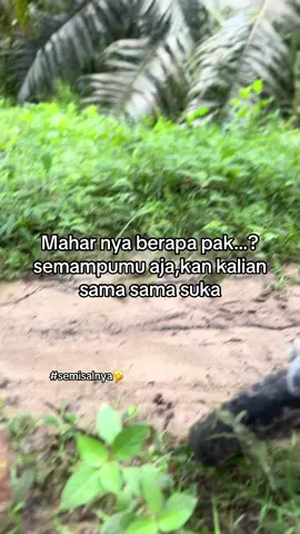 #kuli #sawit #sawitriau #petanimuda #petanisawit 