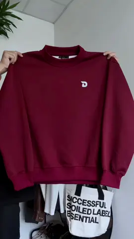 Áo sweater thêu logo Dehood #aosweater #macdepmoingay #phoidoxinh #xuhuong #fypツ 