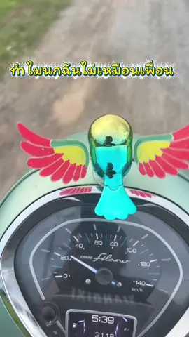 #นกแต่งรถ #แต่งรถ #อุปกรณ์แต่งรถ #นกติดรถ 