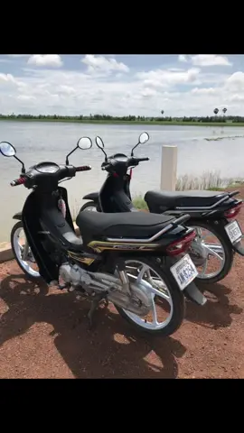 ស្អាតមែនតាស🌾🍃 #viral #🐴🖤 #fyp 