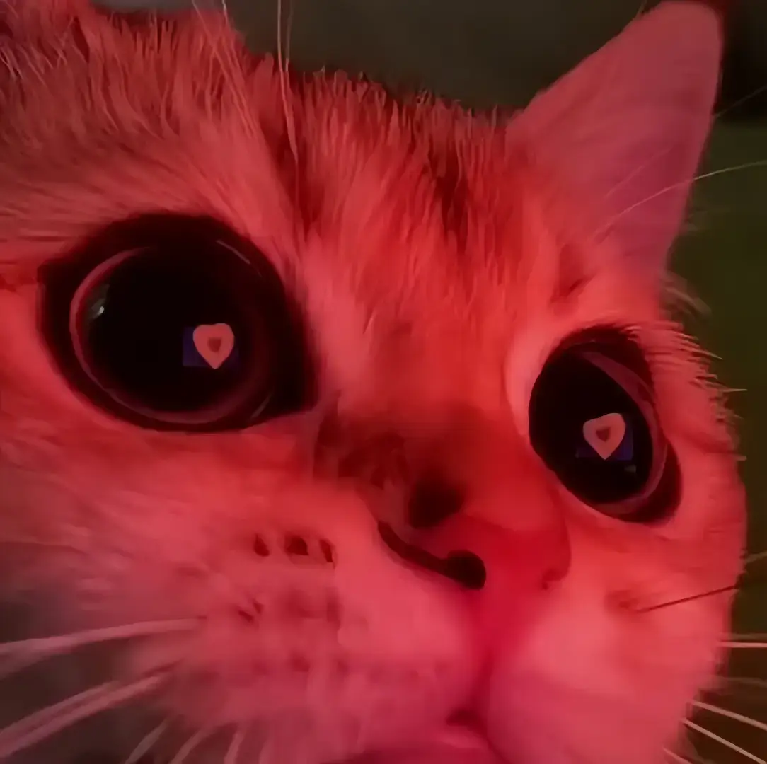 #douyin #douyin抖音 #chinesegirl #weibo #weibogirl #cosplayer #cosplay 