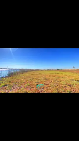 محمد دواي📸 ماطلته صحبتك ليش كصرت #تصويري#تصويري_احترافي_الاجواء👌🏻🕊😴 #اغاني #جواد الساعدي#موال حزين💔