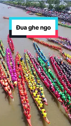Khai mạc đua ghe ngo Sóc Trăng bạn đã đến coi chưa #ocomboc #duaghengosoctrang #LearnOnTikTok 