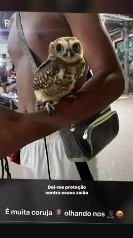 🦉🦉🦉 . . . . . . . #mulherdepreso🔓🕊👫💍 #viral #explorar #explorepage #fy  @Jotaessi🇫🇷 @paralelo_mlc33 @mr_gonzaga @galothree ✨🪖 @Dacentral_mr33 @Beu__71 @Oakley_Rc @paralelo_03 @Protegido_33 