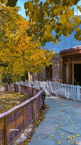 Royal Garden Altit Hunza 😍 #foryou #fyp #foryoupage 
