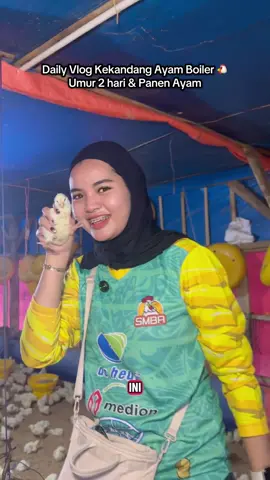 Info harga ayam sekarang gais 🐔 #smbafarm #peternakgenz #peternakmuda #peternakayam #fyp 