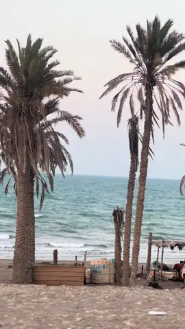 #Sing_Oldies #عبد_الكريم_عبد_القادر #اكسبلور #البحر_الجميل #creatorsearchinsights @نيلوه🤍 