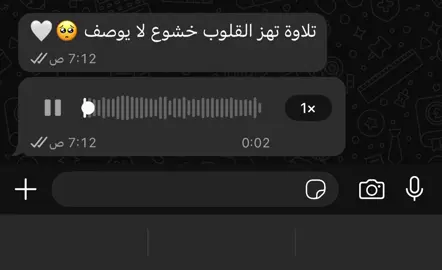 تلاوة تهز القلوب خشوع لا يوصف 🤍🥺 ———————————— سوره_الحجر_الآيه 30 القارئ احمد_المزجاجي#خشوع #quran #quran_alkarim #قران_كريم #foryou 