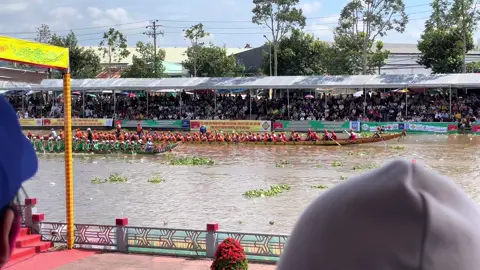 Tum núp 2 đương kim vô địch tới 🤩#duaghengosoctrang 